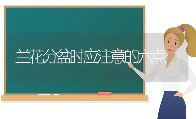 兰花分盆时应注意的六点 | 养殖技术大全