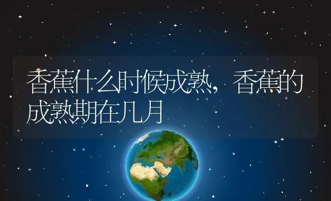 香蕉什么时候成熟,香蕉的成熟期在几月 | 养殖学堂