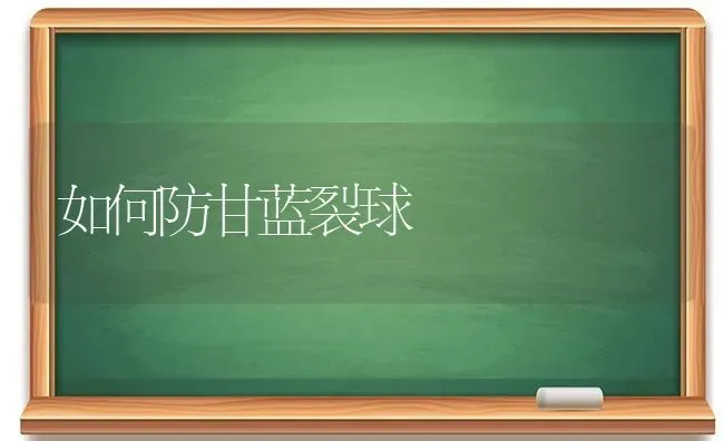 如何防甘蓝裂球 | 养殖技术大全