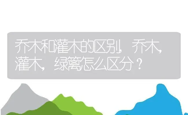 乔木和灌木的区别,乔木，灌木，绿篱怎么区分？ | 养殖科普