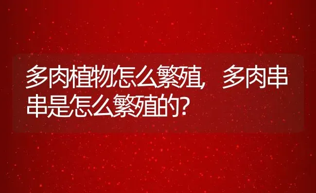 多肉植物怎么繁殖,多肉串串是怎么繁殖的？ | 养殖科普