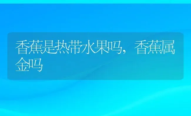 香蕉是热带水果吗,香蕉属金吗 | 养殖学堂