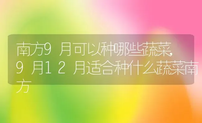 南方9月可以种哪些蔬菜,9月12月适合种什么蔬菜南方 | 养殖学堂