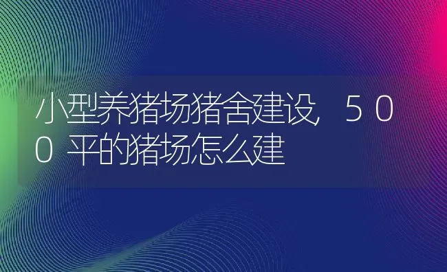 小型养猪场猪舍建设,500平的猪场怎么建 | 养殖学堂