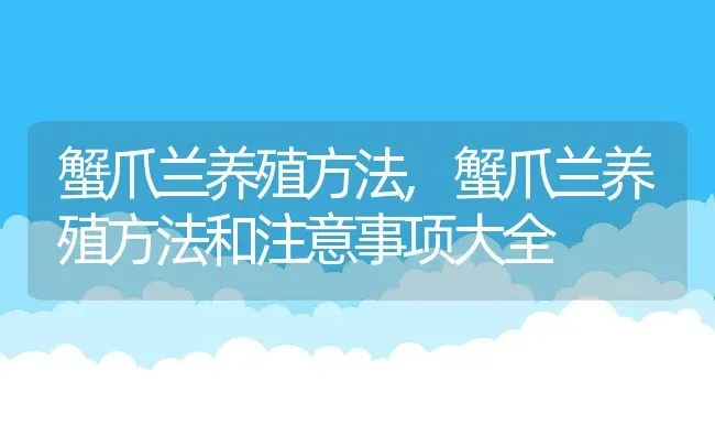 蟹爪兰养殖方法,蟹爪兰养殖方法和注意事项大全 | 养殖科普