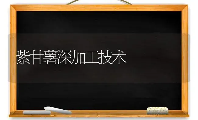 紫甘薯深加工技术 | 养殖技术大全