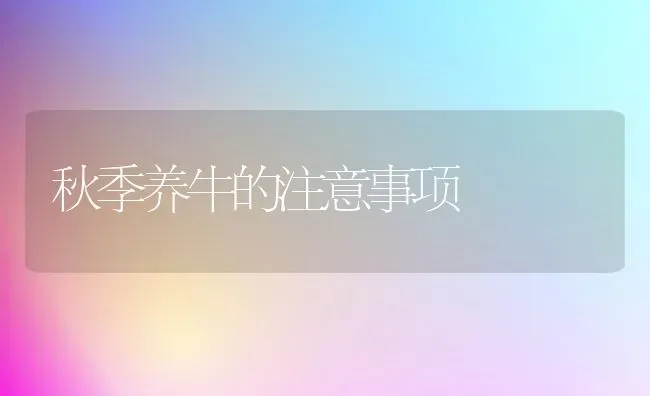 秋季养牛的注意事项 | 养殖知识