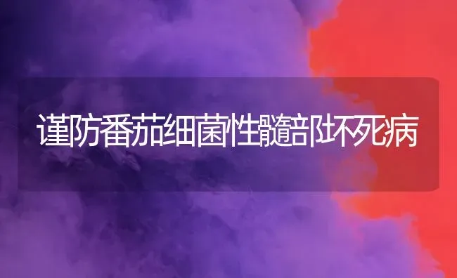 谨防番茄细菌性髓部坏死病 | 养殖技术大全