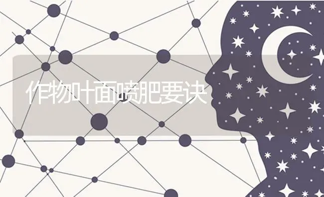 作物叶面喷肥要诀 | 养殖知识