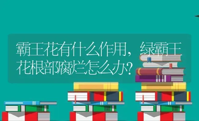 霸王花有什么作用,绿霸王花根部腐烂怎么办？ | 养殖科普