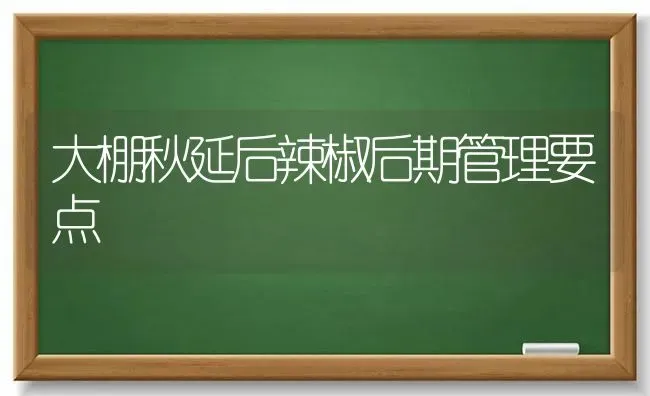 大棚秋延后辣椒后期管理要点 | 养殖技术大全