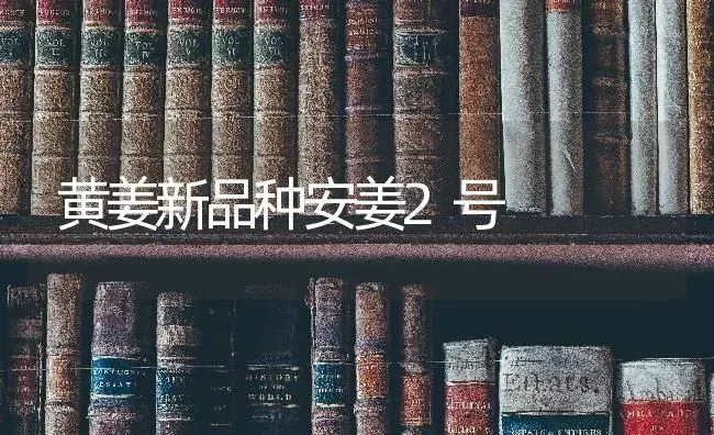 黄姜新品种安姜2号 | 养殖技术大全