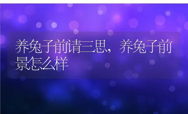养兔子前请三思,养兔子前景怎么样 | 养殖资料
