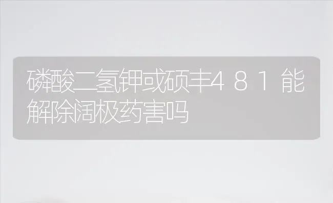 磷酸二氢钾或硕丰481能解除阔极药害吗 | 养殖知识