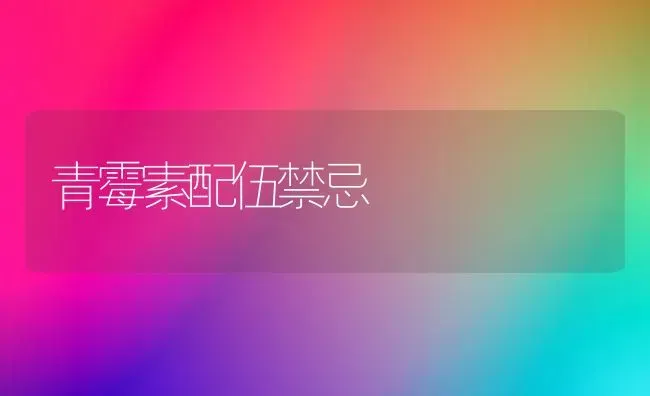 青霉素配伍禁忌 | 养殖技术大全