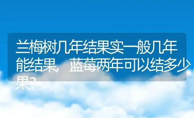 兰梅树几年结果实一般几年能结果,蓝莓两年可以结多少果？ | 养殖科普