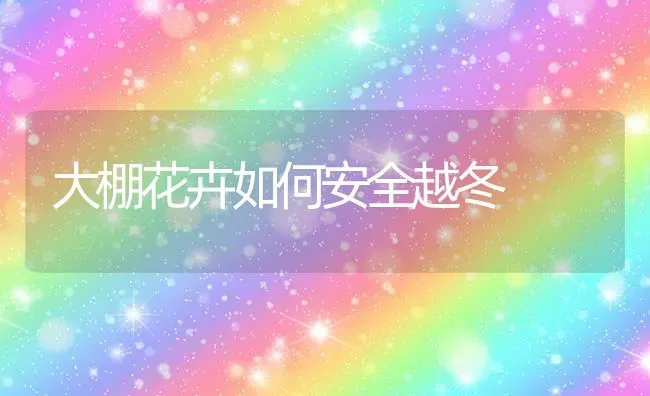 大棚花卉如何安全越冬 | 养殖技术大全