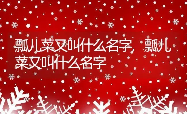 瓢儿菜又叫什么名字,瓢儿菜又叫什么名字 | 养殖科普