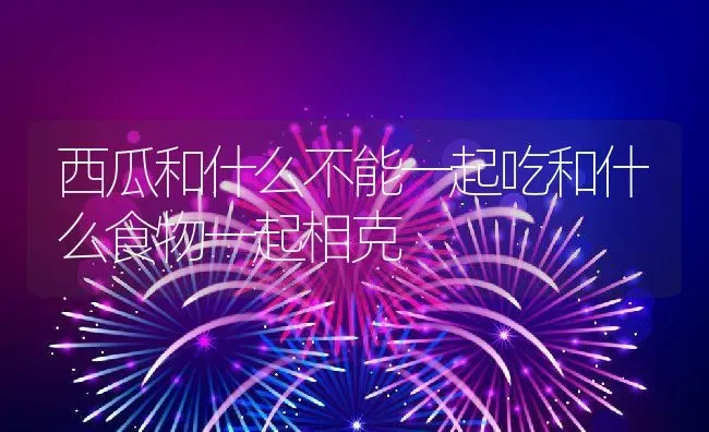 西瓜和什么不能一起吃和什么食物一起相克 | 养殖学堂