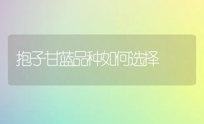 抱子甘蓝品种如何选择 | 养殖技术大全