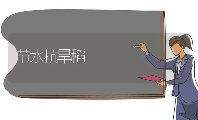 节水抗旱稻 | 养殖知识