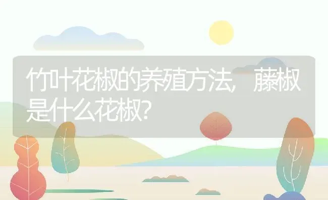 竹叶花椒的养殖方法,藤椒是什么花椒？ | 养殖科普