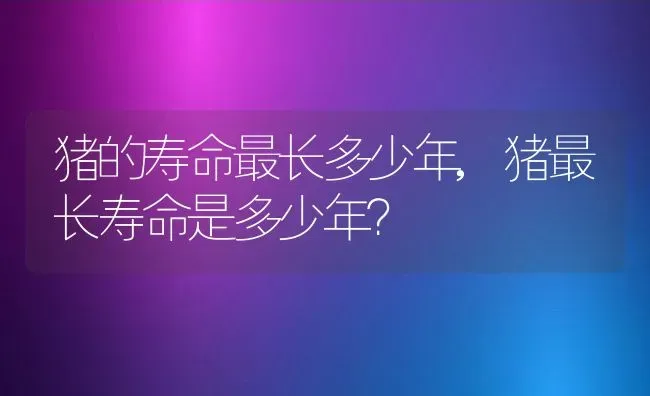 猪的寿命最长多少年,猪最长寿命是多少年？ | 养殖科普