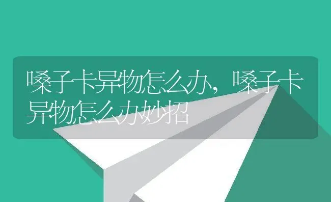 猫抓病是什么病,猫抓病是什么病会死吗 | 养殖科普