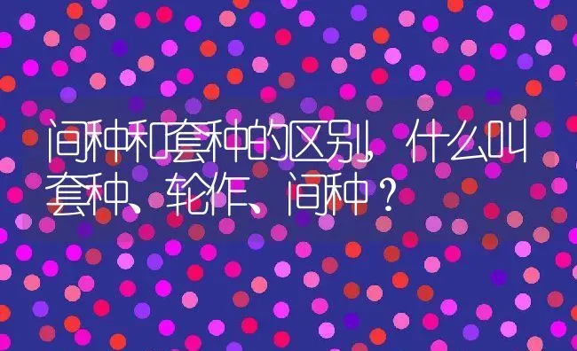 间种和套种的区别,什么叫套种、轮作、间种？ | 养殖科普