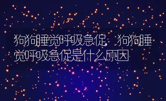 狗狗睡觉呼吸急促,狗狗睡觉呼吸急促是什么原因 | 养殖科普