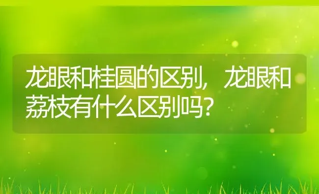 龙眼和桂圆的区别,龙眼和荔枝有什么区别吗？ | 养殖科普