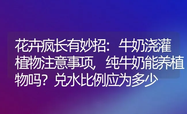 花卉疯长有妙招:牛奶浇灌植物注意事项,纯牛奶能养植物吗？兑水比例应为多少 | 养殖学堂