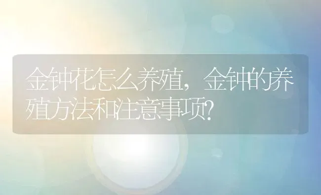 金钟花怎么养殖,金钟的养殖方法和注意事项？ | 养殖科普