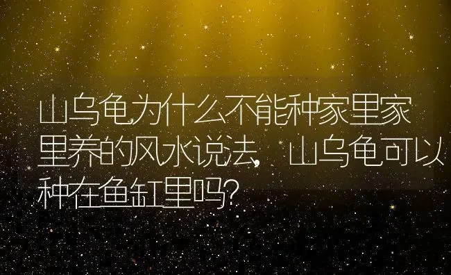 山乌龟为什么不能种家里家里养的风水说法,山乌龟可以种在鱼缸里吗？ | 养殖科普