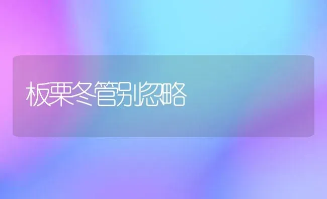 板栗冬管别忽略 | 养殖技术大全