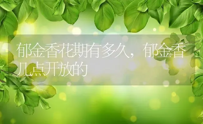 郁金香花期有多久,郁金香几点开放的 | 养殖学堂