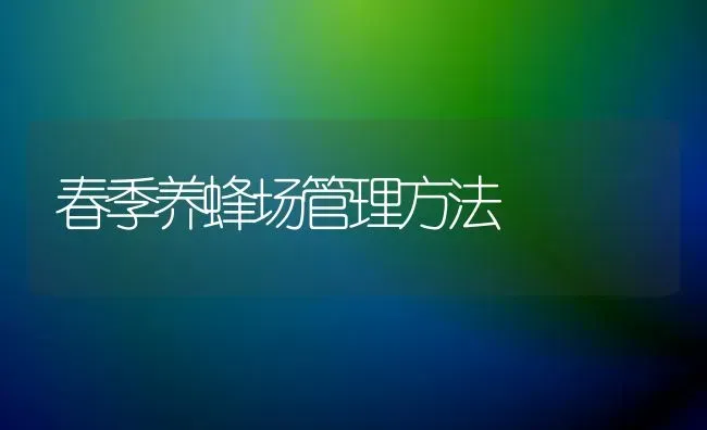 春季养蜂场管理方法 | 养殖知识