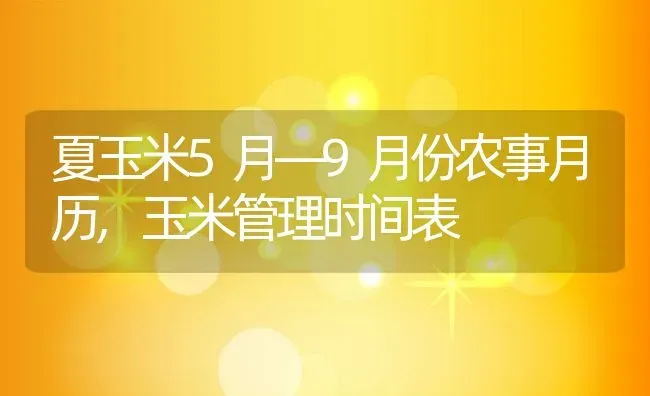 夏玉米5月—9月份农事月历,玉米管理时间表 | 养殖学堂