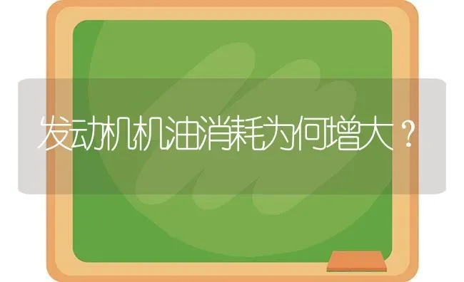 发动机机油消耗为何增大? | 养殖知识