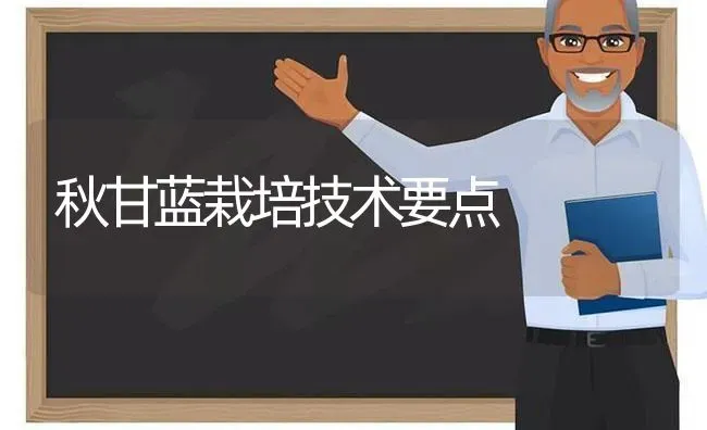 秋甘蓝栽培技术要点 | 养殖知识