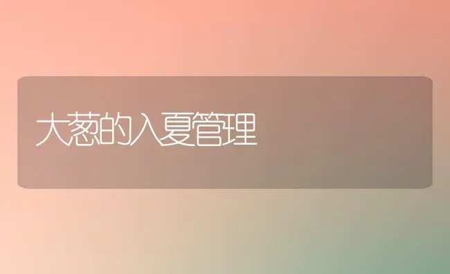 大葱的入夏管理 | 养殖知识