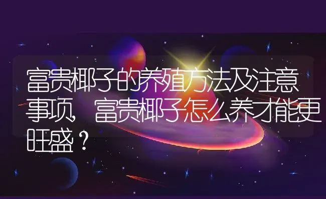 富贵椰子的养殖方法及注意事项,富贵椰子怎么养才能更旺盛？ | 养殖科普