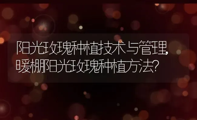 阳光玫瑰种植技术与管理,暖棚阳光玫瑰种植方法？ | 养殖科普