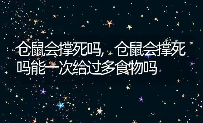 仓鼠会撑死吗,仓鼠会撑死吗能一次给过多食物吗 | 养殖资料