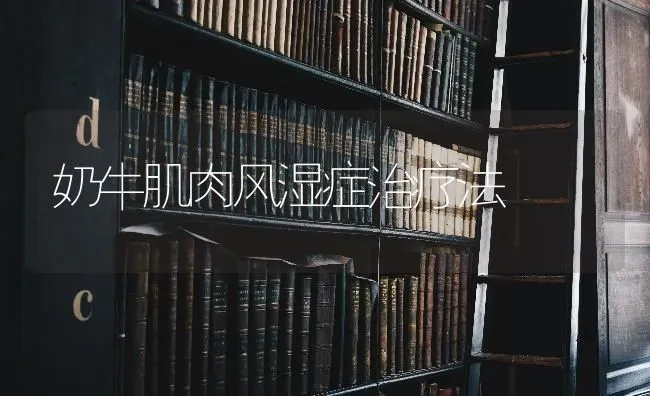 奶牛肌肉风湿症治疗法 | 养殖知识