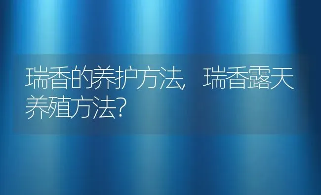 瑞香的养护方法,瑞香露天养殖方法？ | 养殖科普