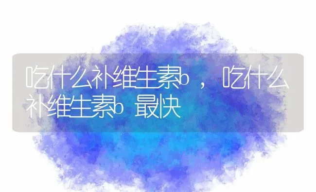 吃什么补维生素b,吃什么补维生素b最快 | 养殖科普