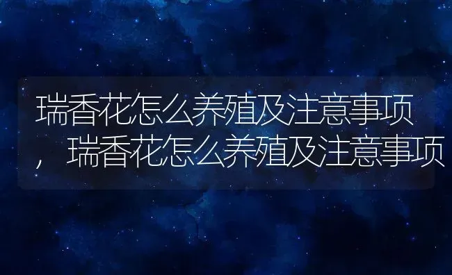 狗狗拉血怎么办,狗狗拉血怎么办吃什么药 | 养殖科普