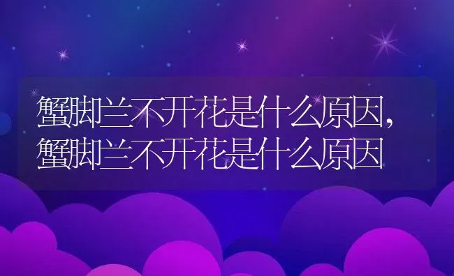 蟹脚兰不开花是什么原因,蟹脚兰不开花是什么原因 | 养殖科普