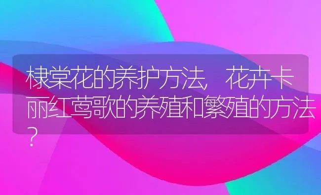 棣棠花的养护方法,花卉卡丽红莺歌的养殖和繁殖的方法？ | 养殖学堂